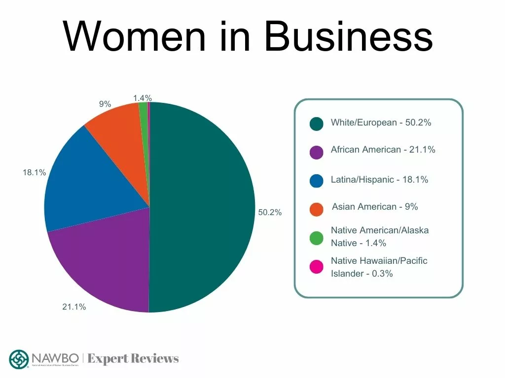 pie chart showing percentage of types of women in business